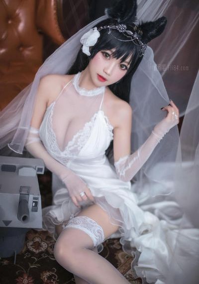 番茄视频在线_BD韩语影视在线观看