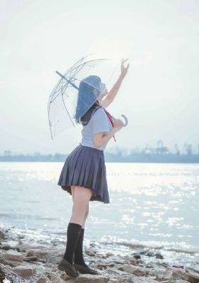 黑狐之风影免费观看_4K完整视频观看